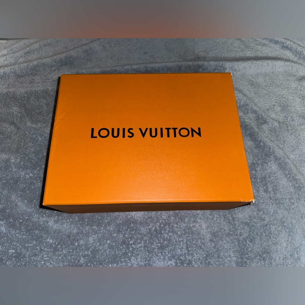 Louis Vuitton shoes